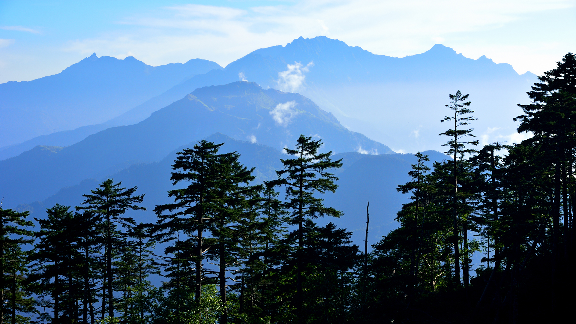 夏の岐阜の風景5