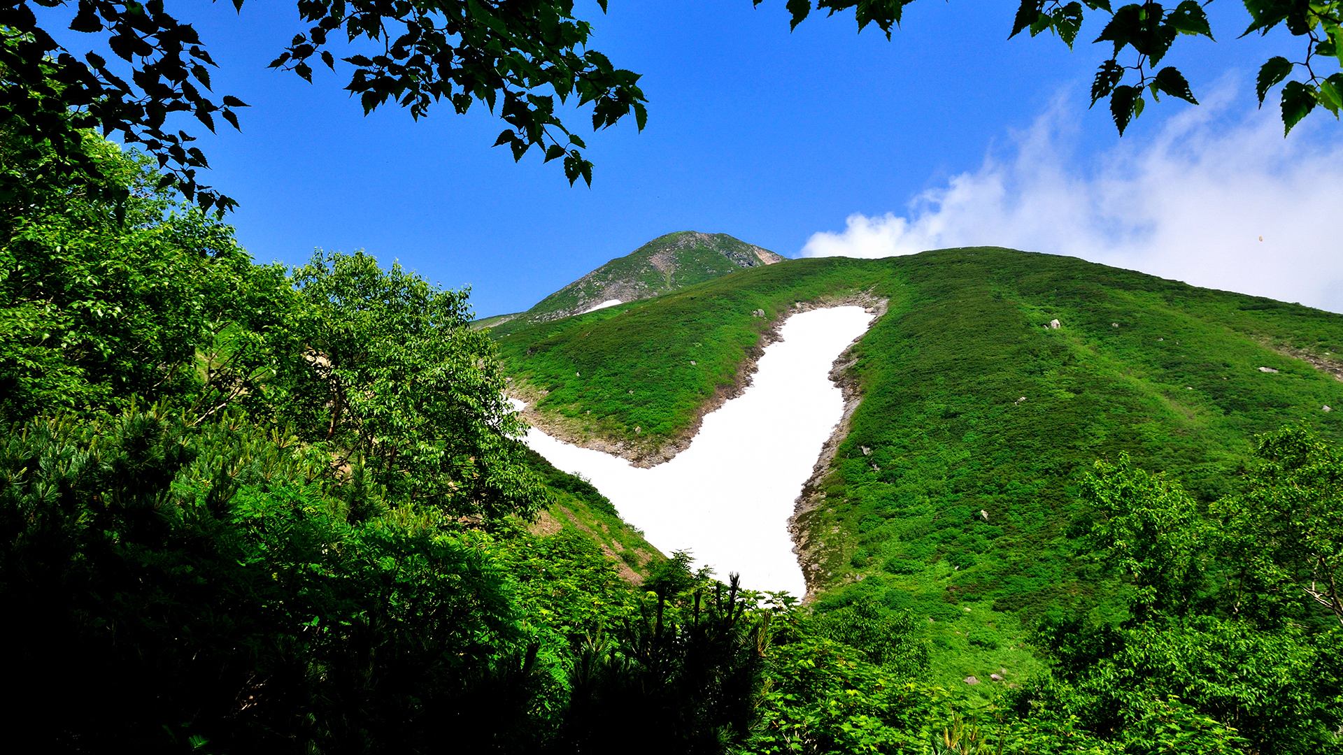 夏の岐阜の風景8
