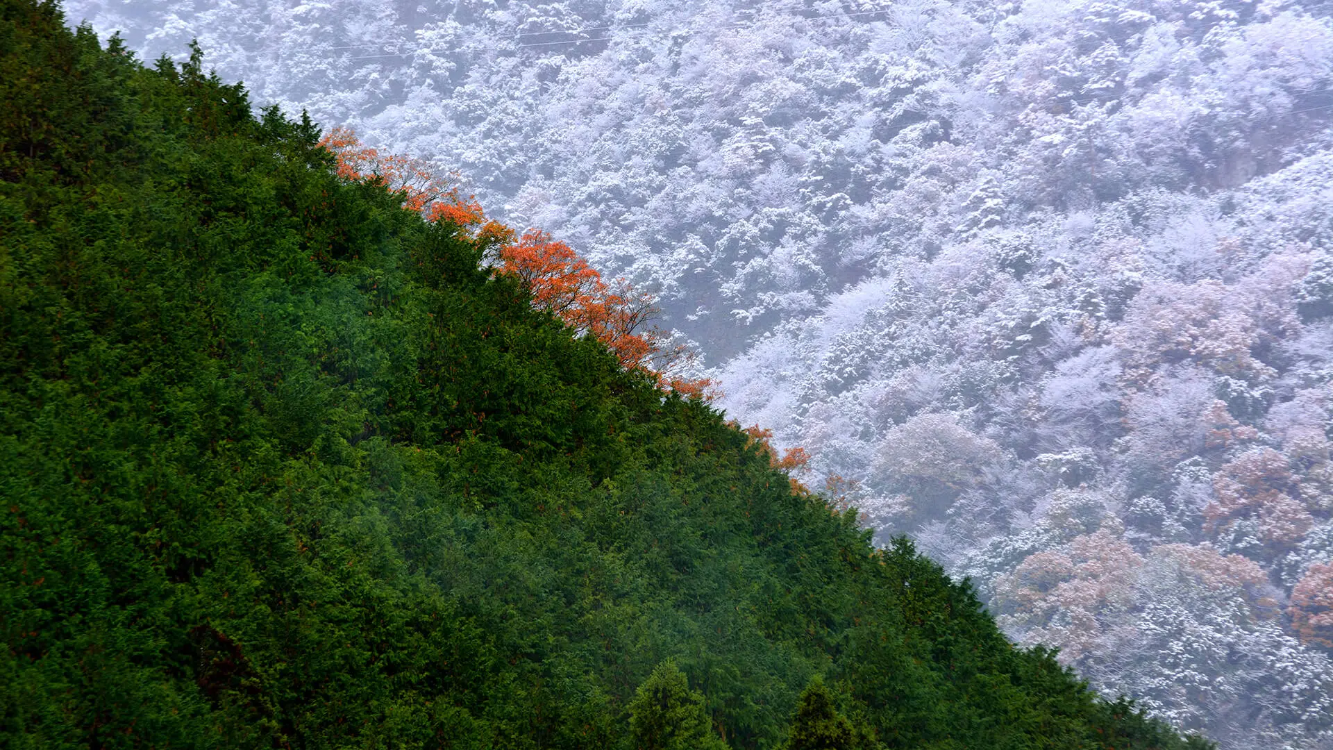 冬の岐阜の風景2