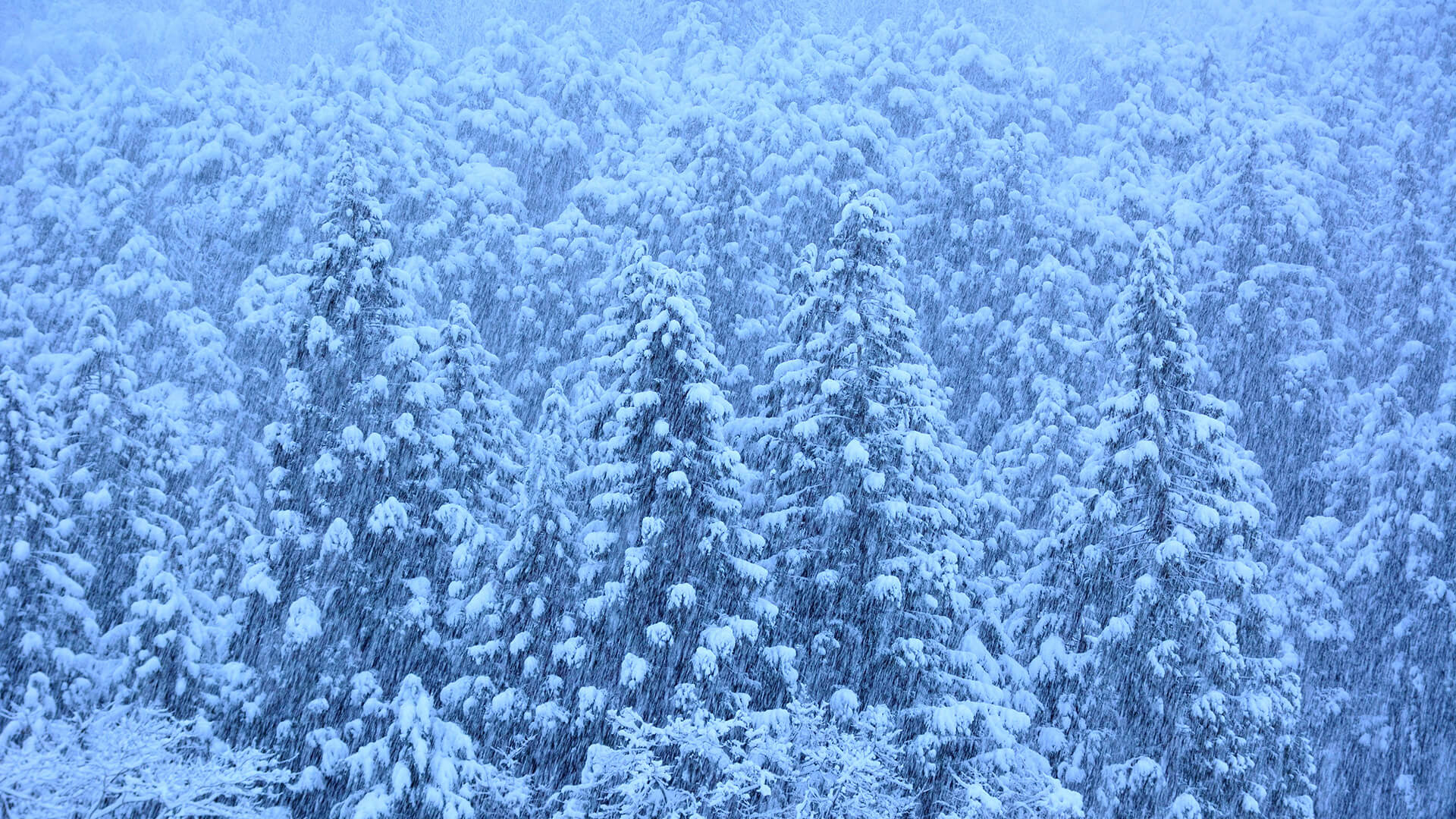 冬の岐阜の風景4