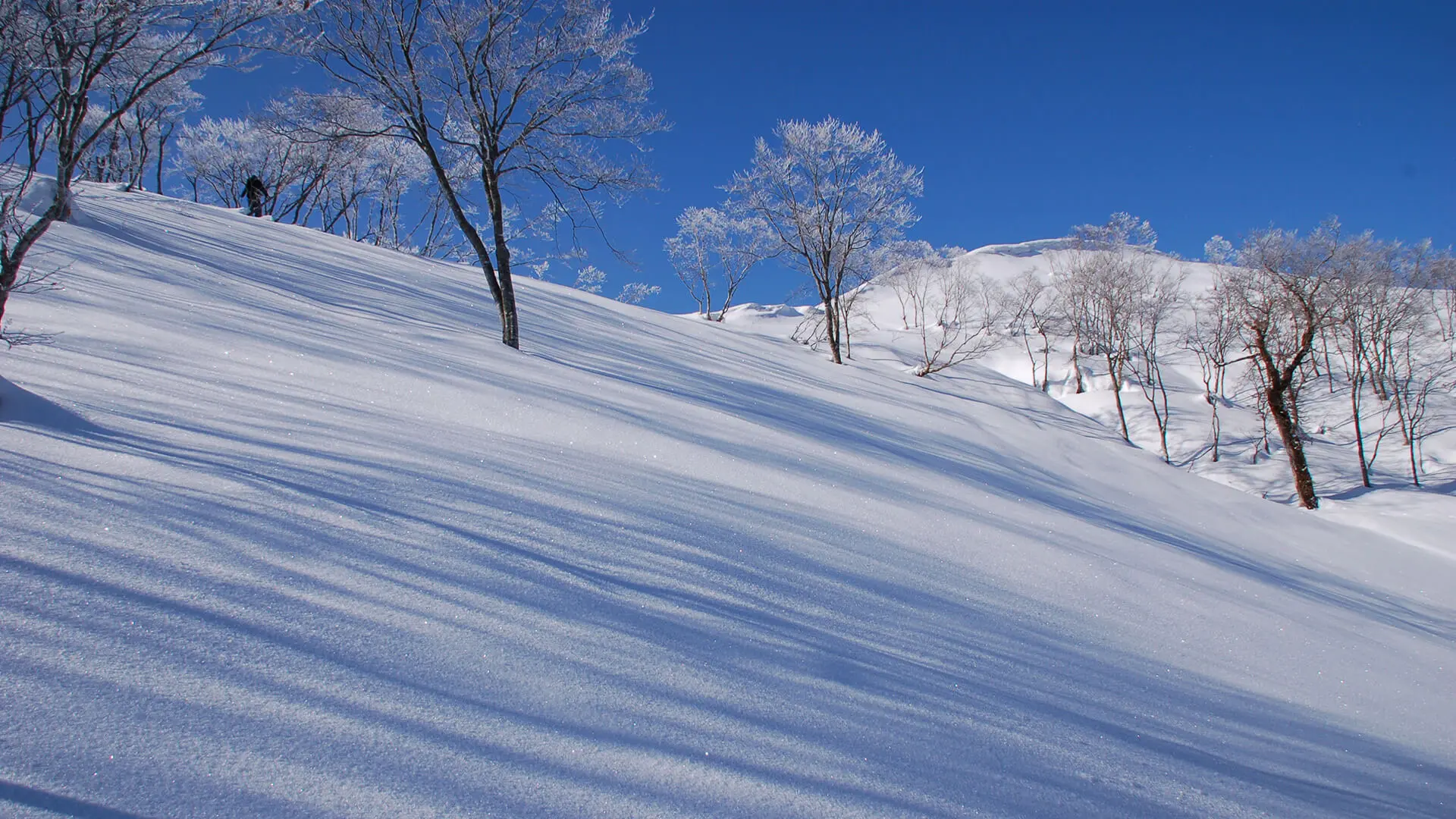 冬の岐阜の風景5