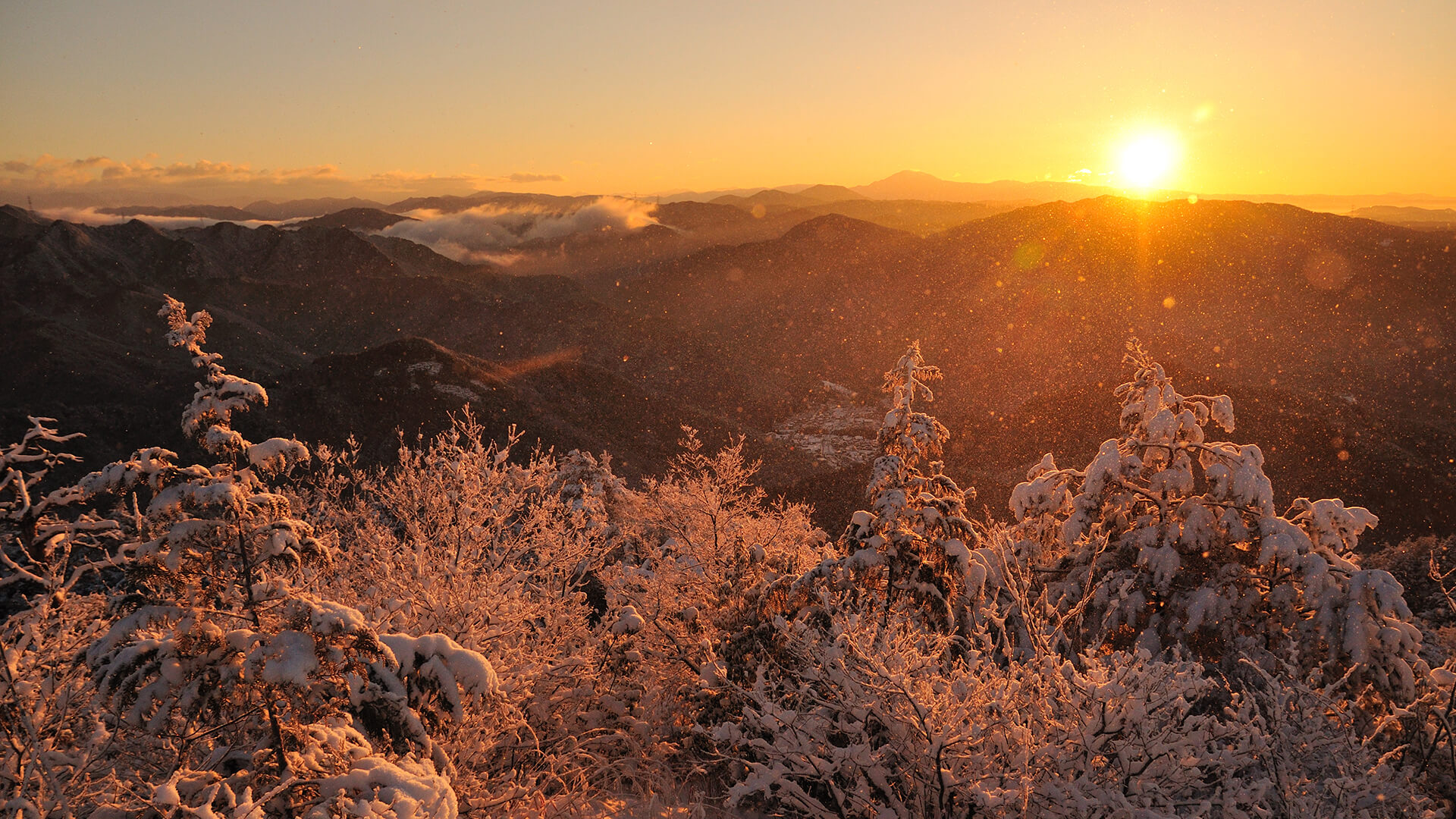 冬の岐阜の風景7