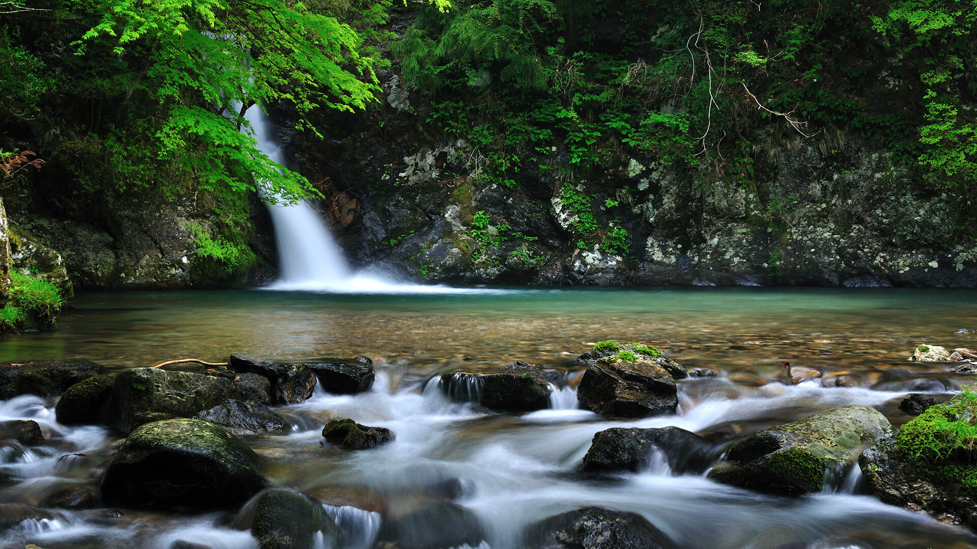 春の岐阜の風景1