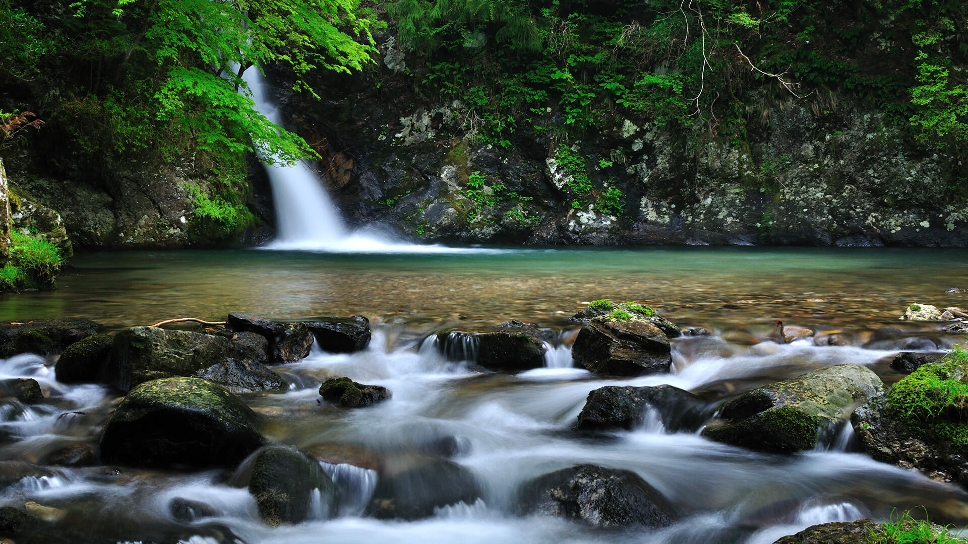 春の岐阜の風景10