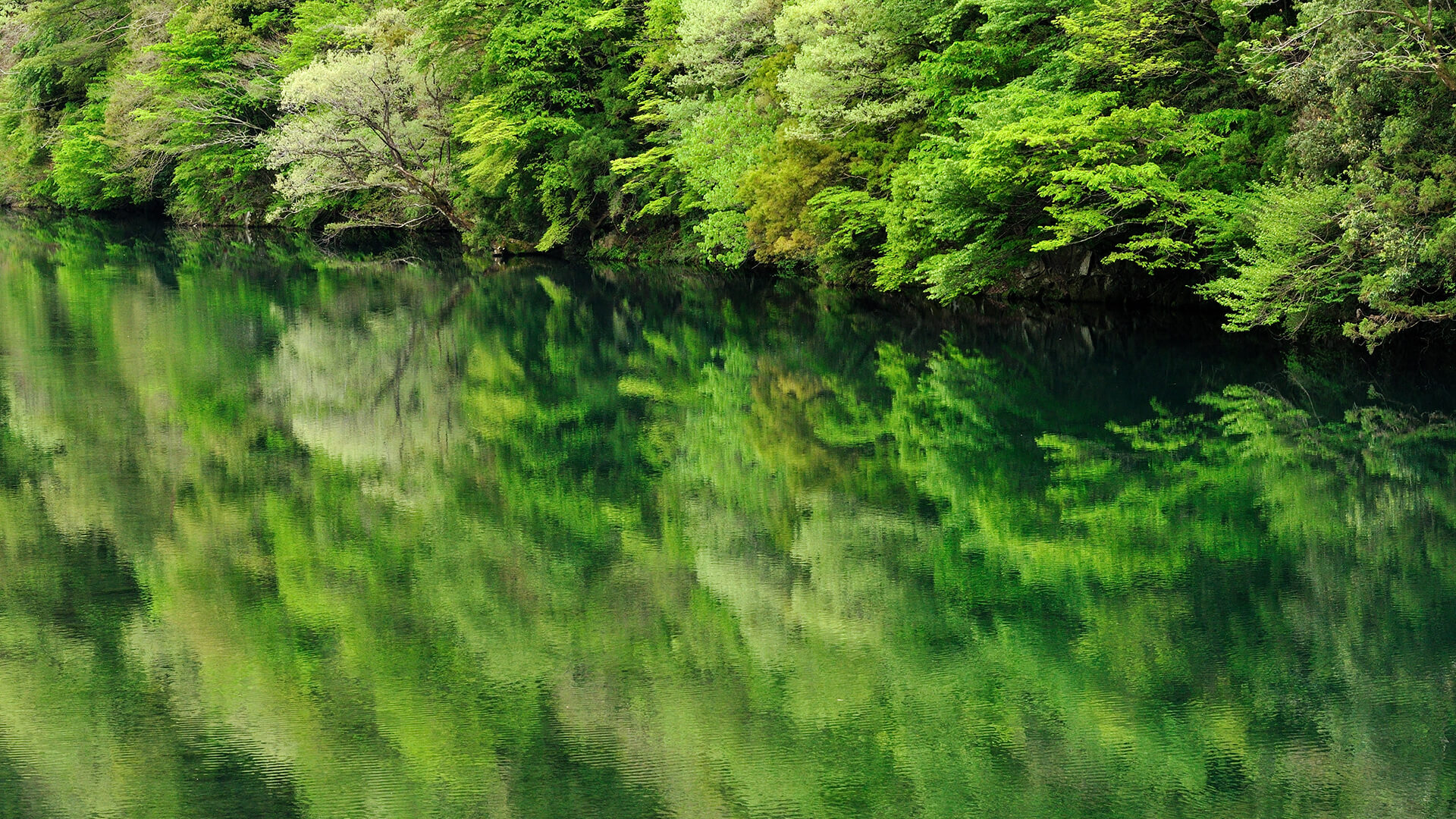 春の岐阜の風景8