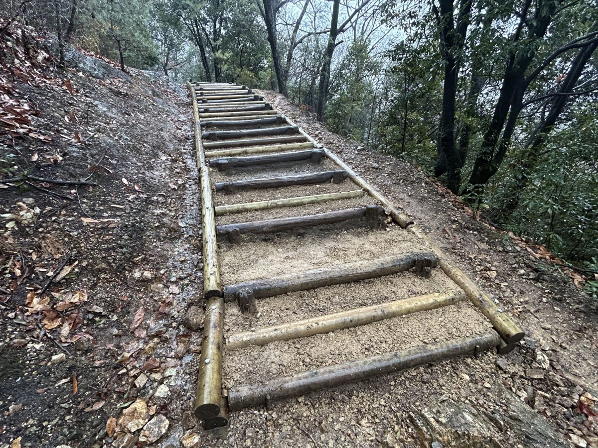 各務原三井山遊歩道再整備写真