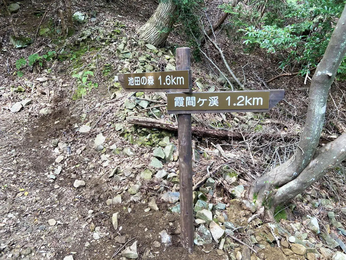 業務部-施工事例_登山道整備_霞間ヶ渓登山道改修04