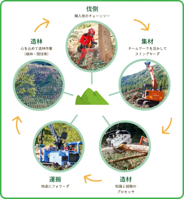 木材生産チーム_業務イメージ図